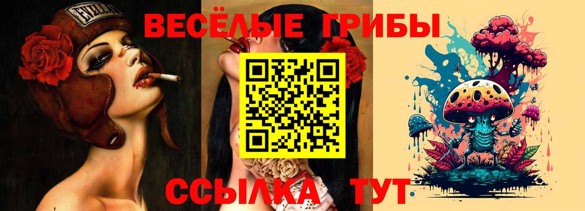 Псилоцибиновые грибы мухоморы  Вход с VPN  Муром  Галлюциногенные грибы Psilocybine cubensis 
